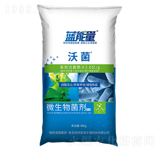 ΢����������w����-�־�-�{����