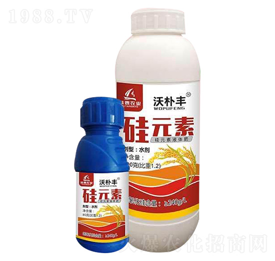 ��Ԫ��-�֘��S-��̩