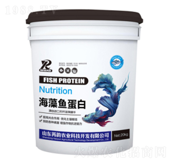 �����~����-����r(n��ng)�I(y��)