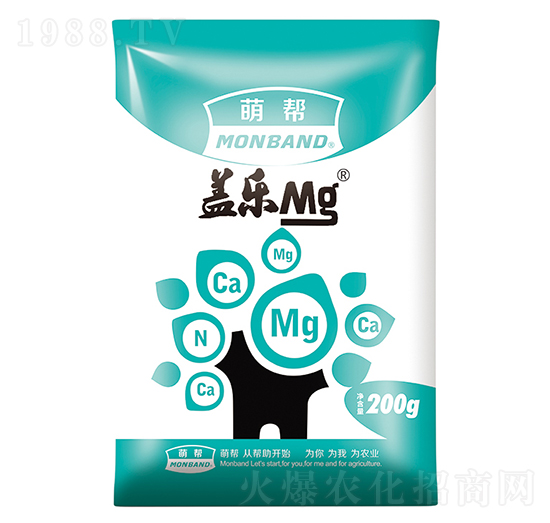 �w��(l��)��-�Ȏ�