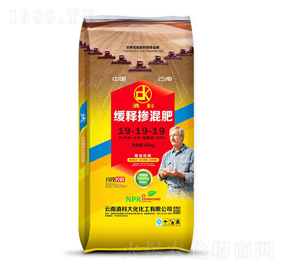 ��ጓ����19-19-19-���