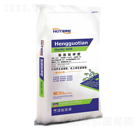 ������⛷�-�����