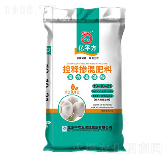 ��ጓ������19-10-21-�����t