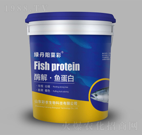 ø�⡤�~����-�G��ꖲ˲�