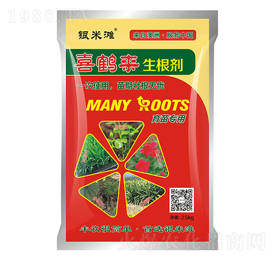 ϲ�Q��(l��i)������-�y�מ�����