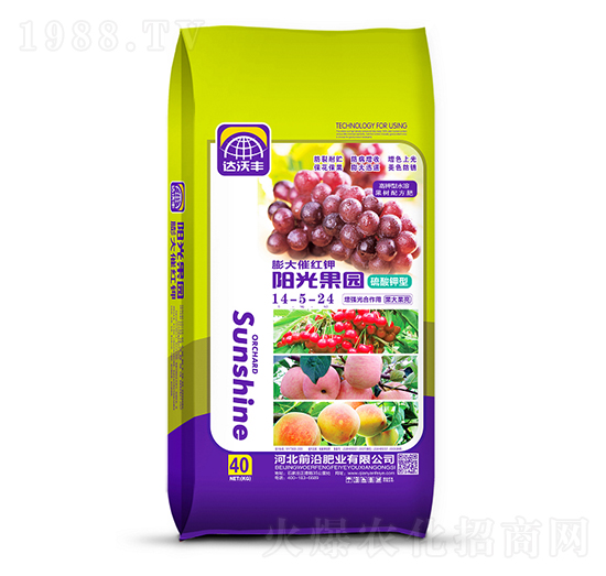 �������14-5-24-�(y��ng)����@-ǰ�طʘI(y��)