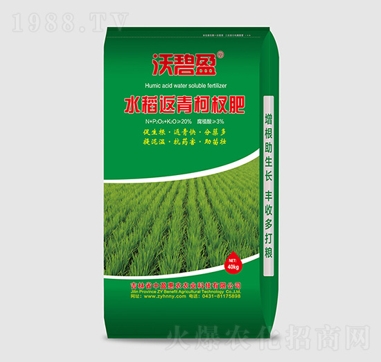 ˮ�������辷�-�ֱ�ӯ-��ӯ���r