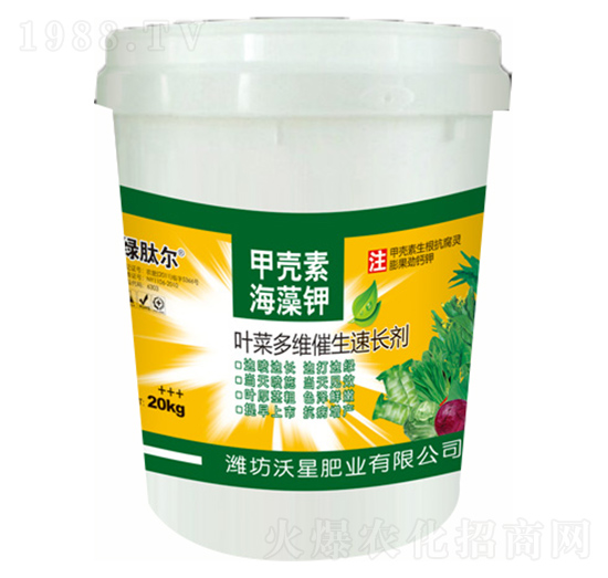 �~�˶�S�������L��-���ǷʘI(y��)