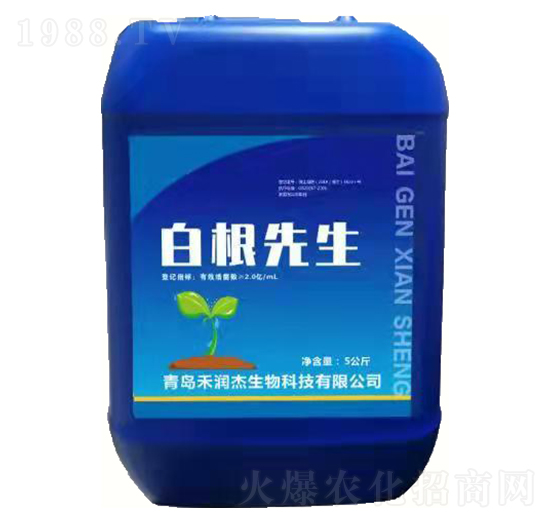 �׸�����-�̝�(r��n)��