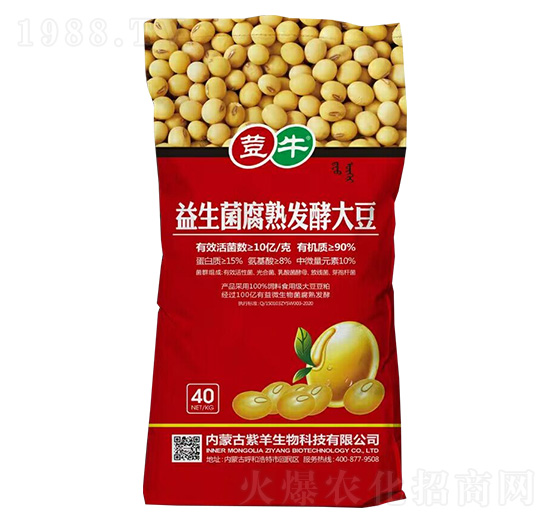 ����������l(f��)�ʹ�-�Wţ-��������