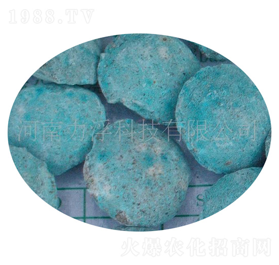 �ؙ������ؘ��-�����Ƽ�