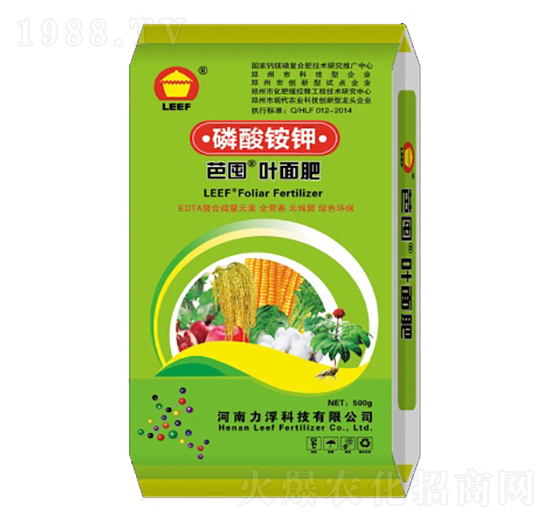 �����@��~���-�Ŷ�-�����Ƽ�