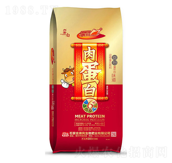 �⵰��-���L����