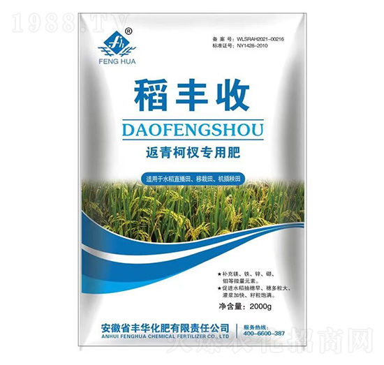 �����(qu��n)���÷�-���S��-�S�A����