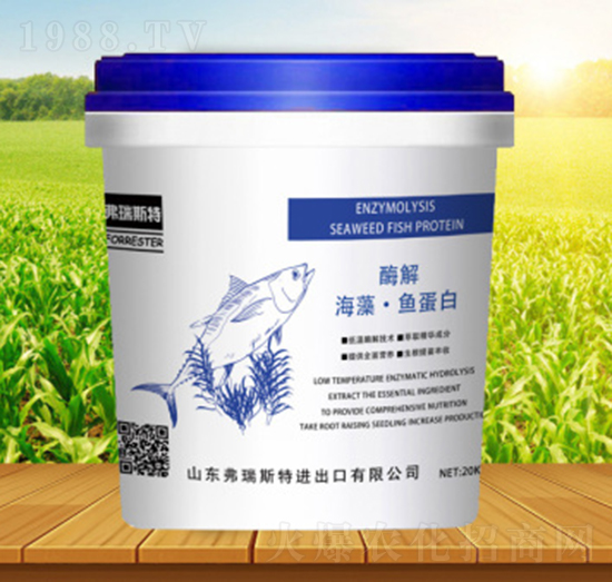 �����~����-����˹��