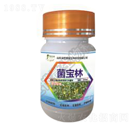 ΢�����������-������-������