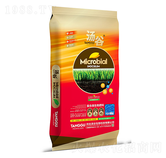 �ͺ�΢�����-��������