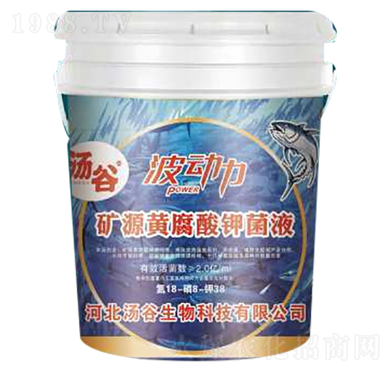 �VԴ�S����⛾�Һ18-8-38-������-��������