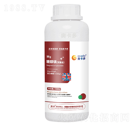 �Ǵ��V���p���ϣ�-�W����