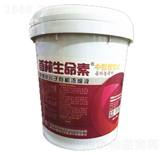 ����������-�����r(n��ng)�I(y��)