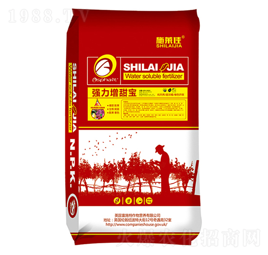 ����������-ʩ�R��-ӯ�S�r�I(y��)