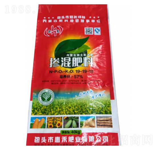 �������19-19-19-����-�ݺ̷ʘI(y��)