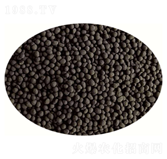 �ЙC��-������