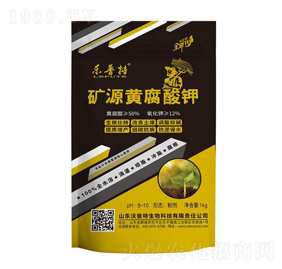 �VԴ�S�����-������-������