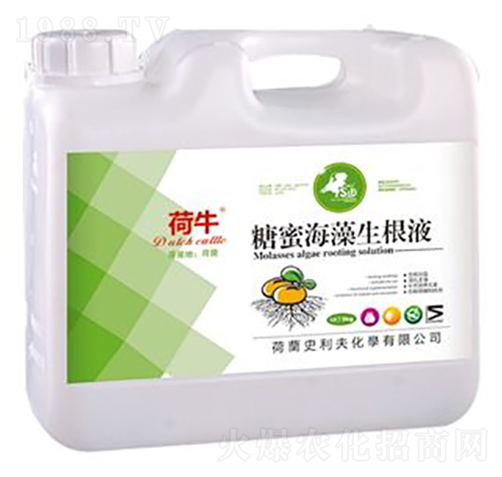 ���ۺ�������Һ-��ţ-ʷ����