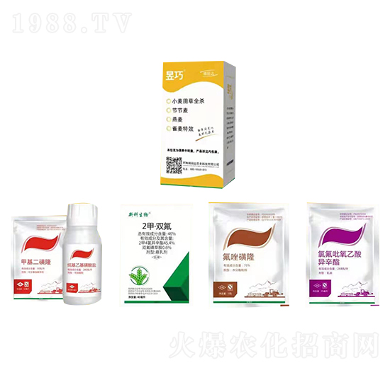 С����ȫ���ͳ��݄�-����-�����_