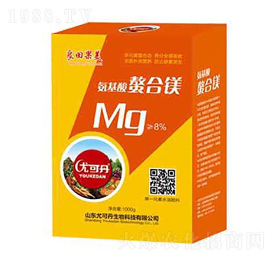 �����������V-�������-�ȿɵ�