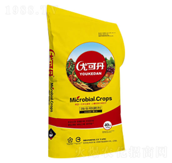 ΢�������-�ȿɵ�