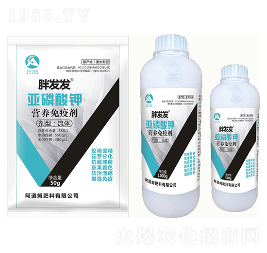 ������⛠I(y��ng)�B(y��ng)���߄�-�ְl(f��)�l(f��)-����ķ