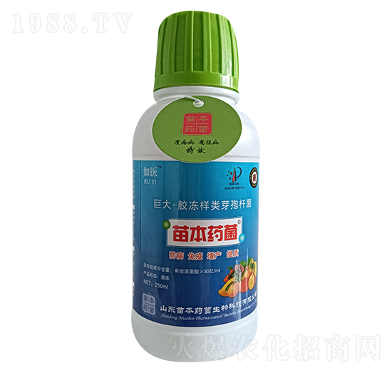 �޴��z�����ѿ�ߗU��-���t(y��)-�籾ˎ��