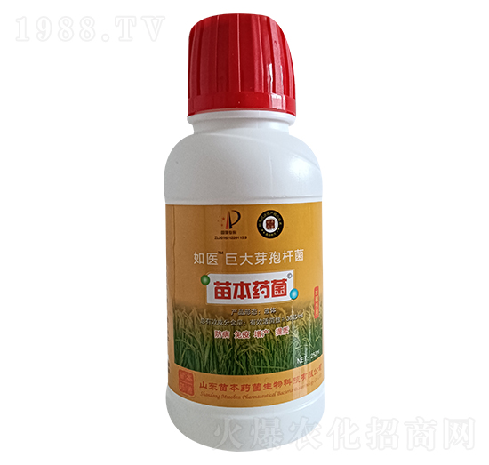 �޴�ѿ�ߗU��-���t(y��)-�籾ˎ��