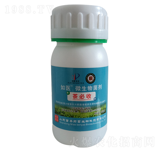 �����΢�������-���t(y��)-�籾ˎ��