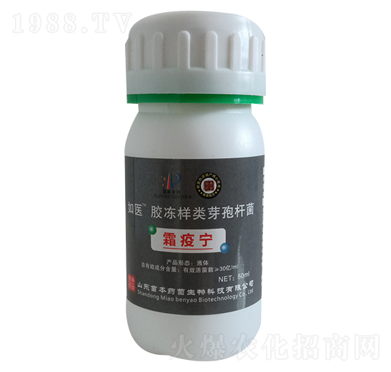 �z�����ѿ�ߗU��-���t(y��)-�籾ˎ��