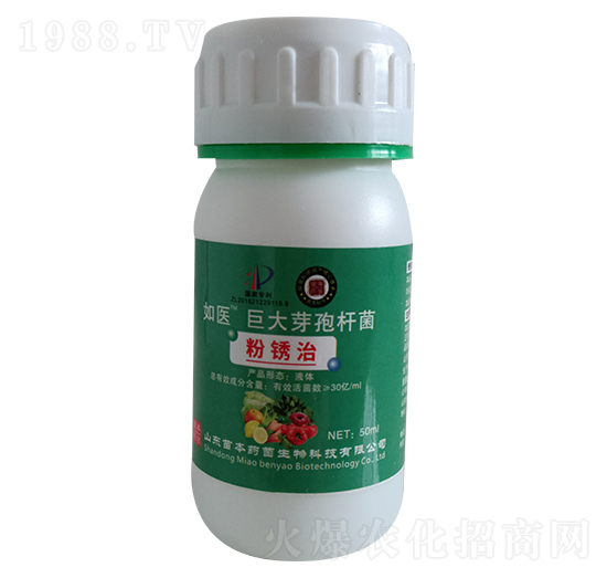 ���P�ξ޴�ѿ�ߗU��-���t(y��)-�籾ˎ��