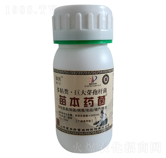 ��ճ��޴�ѿ�ߗU��-���t(y��)-�籾ˎ��