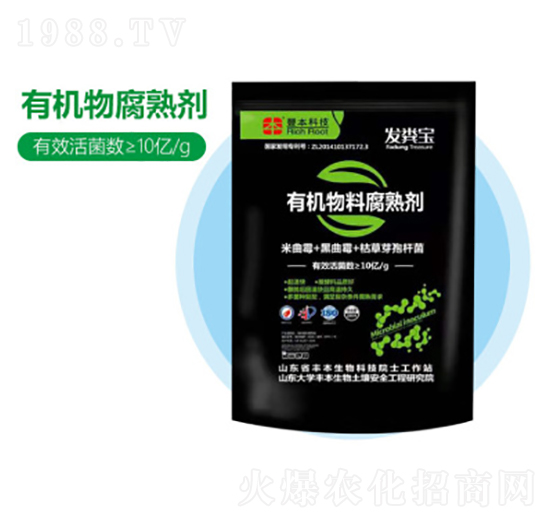 �ЙC�︯�섩-�S������