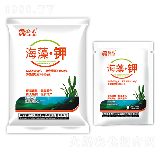 ���塤�-�պ�-����Ԫ��