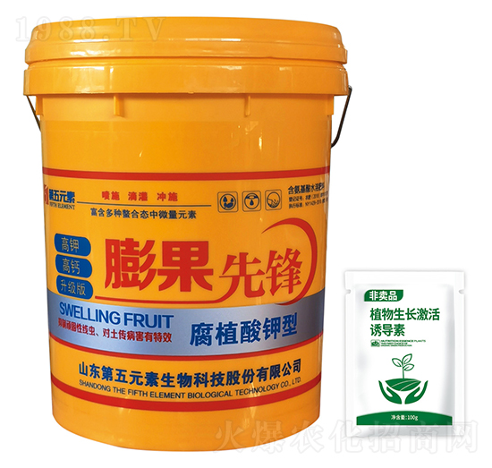 膨果先鋒-第五元素