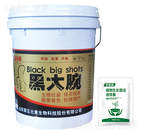 黑大腕-頤豐源-第五元素