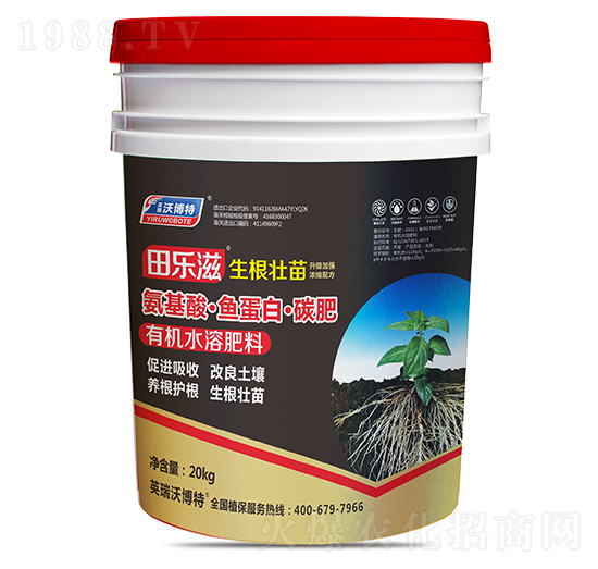 �����ᡤ�~���ס�̼��-�(l��)�̡���������-Ӣ���ֲ���