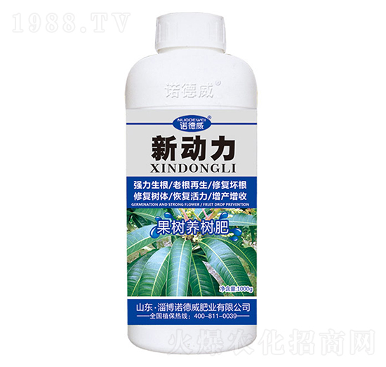 �����B(y��ng)���-��(d��ng)��-�Z����