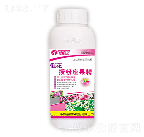 �߻��ڷ�������-�Z����