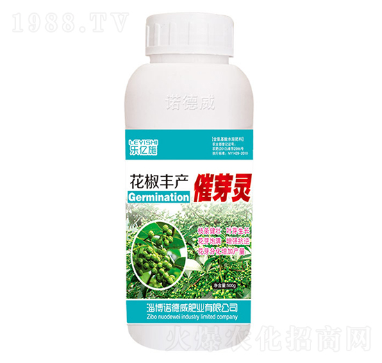 �����S�a��ѿ�`-�Z����