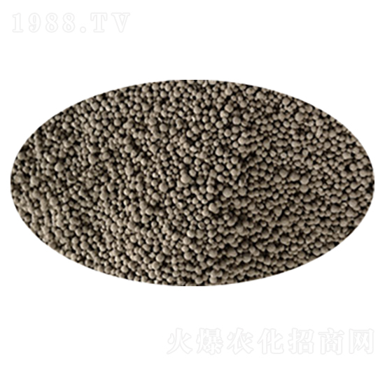 �����{(di��o)�턩-�{(l��n)������