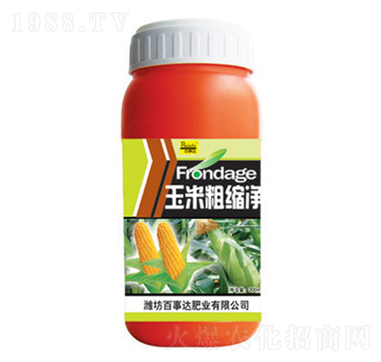 ���״ֿs��-�����_(d��)