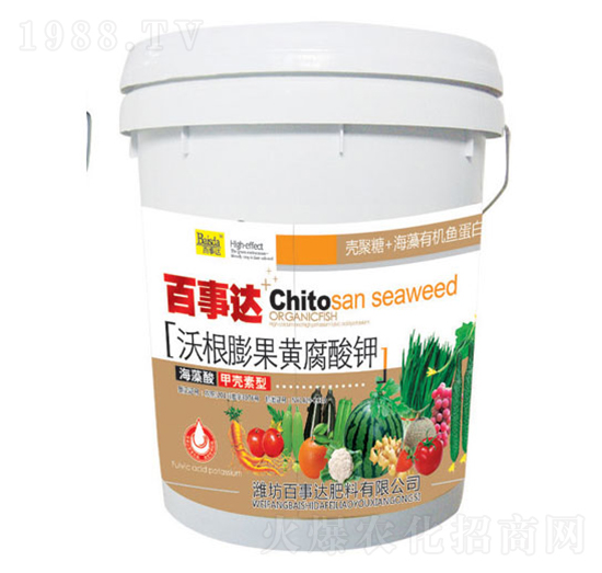 �ָ�����S�����-�����_(d��)